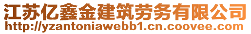 江蘇億鑫金建筑勞務(wù)有限公司