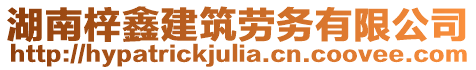 湖南梓鑫建筑勞務(wù)有限公司