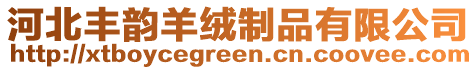 河北豐韻羊絨制品有限公司