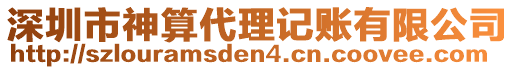 深圳市神算代理記賬有限公司