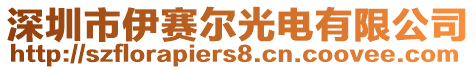 深圳市伊賽爾光電有限公司
