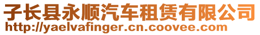 子長(zhǎng)縣永順汽車租賃有限公司