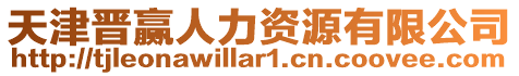 天津晉贏人力資源有限公司