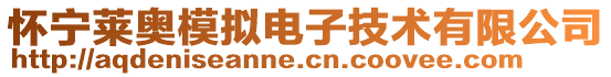 懷寧萊奧模擬電子技術有限公司