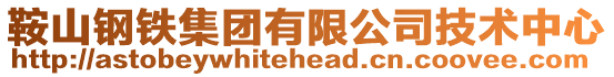 鞍山鋼鐵集團(tuán)有限公司技術(shù)中心