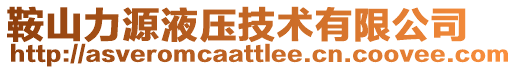 鞍山力源液壓技術(shù)有限公司