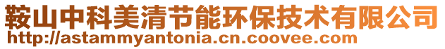 鞍山中科美清節(jié)能環(huán)保技術(shù)有限公司