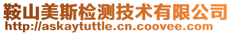 鞍山美斯檢測技術有限公司