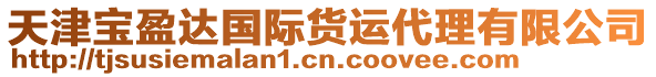 天津寶盈達國際貨運代理有限公司