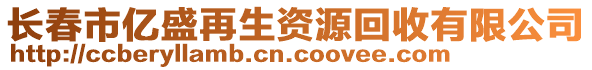 長春市億盛再生資源回收有限公司