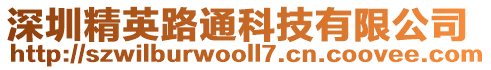 深圳精英路通科技有限公司