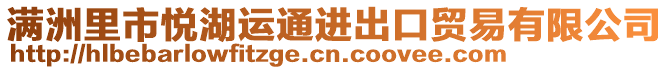 滿(mǎn)洲里市悅湖運(yùn)通進(jìn)出口貿(mào)易有限公司