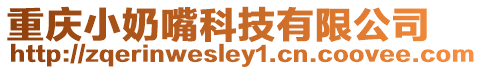 重慶小奶嘴科技有限公司