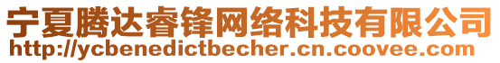 寧夏騰達(dá)睿鋒網(wǎng)絡(luò)科技有限公司