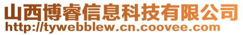 山西博睿信息科技有限公司