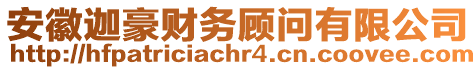 安徽迦豪財(cái)務(wù)顧問有限公司