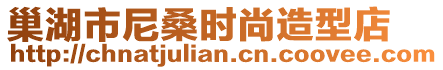 巢湖市尼桑時尚造型店