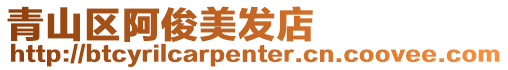 青山區阿俊美發店