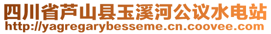 四川省蘆山縣玉溪河公議水電站