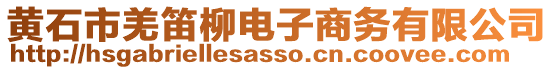 黃石市羌笛柳電子商務有限公司