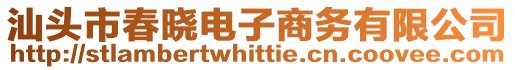 汕頭市春曉電子商務(wù)有限公司