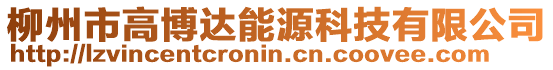 柳州市高博達能源科技有限公司