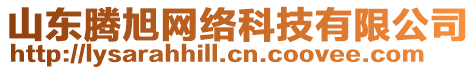 山東騰旭網絡科技有限公司
