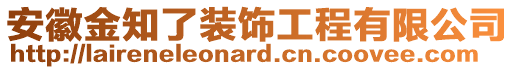 安徽金知了裝飾工程有限公司