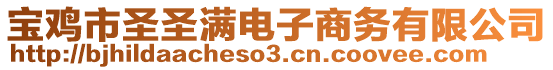 寶雞市圣圣滿電子商務(wù)有限公司