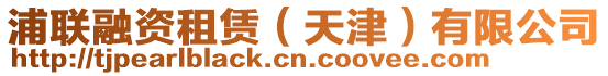 浦聯(lián)融資租賃（天津）有限公司