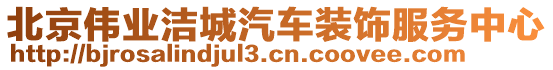 北京偉業(yè)潔城汽車裝飾服務中心