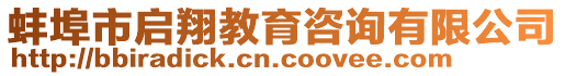 蚌埠市啟翔教育咨詢有限公司