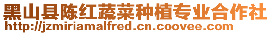 黑山縣陳紅蔬菜種植專業合作社