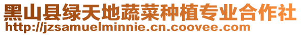 黑山縣綠天地蔬菜種植專業(yè)合作社