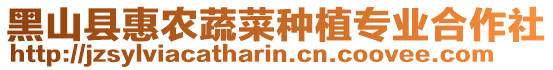 黑山縣惠農(nóng)蔬菜種植專業(yè)合作社