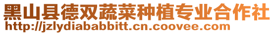 黑山縣德雙蔬菜種植專業合作社