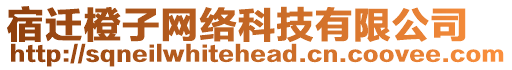 宿遷橙子網(wǎng)絡(luò)科技有限公司