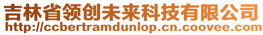 吉林省領(lǐng)創(chuàng)未來科技有限公司