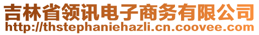 吉林省領(lǐng)訊電子商務(wù)有限公司