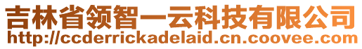 吉林省領(lǐng)智一云科技有限公司