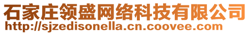 石家莊領盛網絡科技有限公司