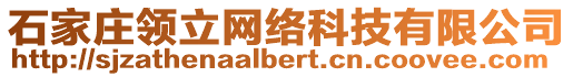 石家莊領(lǐng)立網(wǎng)絡(luò)科技有限公司