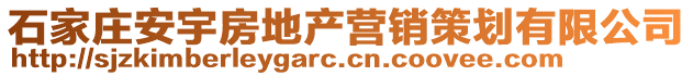 石家莊安宇房地產營銷策劃有限公司