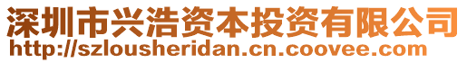 深圳市興浩資本投資有限公司