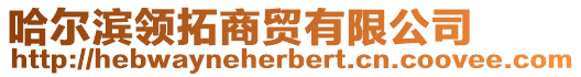 哈爾濱領(lǐng)拓商貿(mào)有限公司