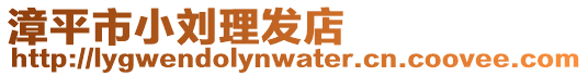 漳平市小劉理發店