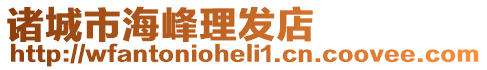 諸城市海峰理發(fā)店
