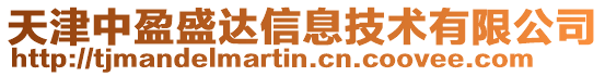 天津中盈盛達信息技術有限公司