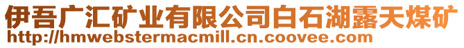 伊吾廣匯礦業(yè)有限公司白石湖露天煤礦