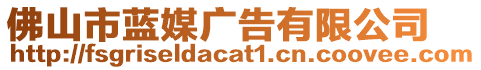 佛山市藍(lán)媒廣告有限公司